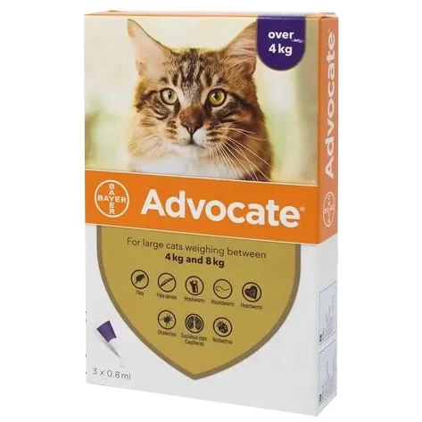 Advocate - ยาหยดหลังสำหรับแมว (น้ำหนัก 4-8 กก.)