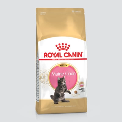 Royal Canin - Maine Coon - Kitten 