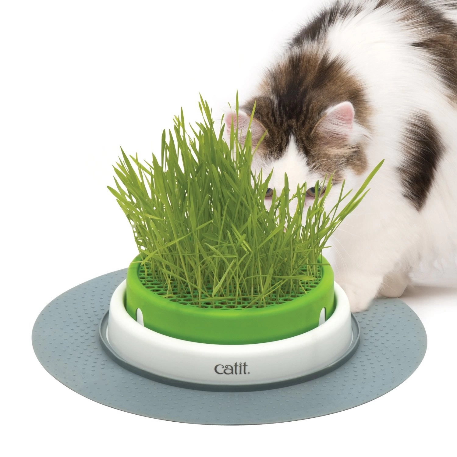 Catit - Catit Senses 2.0 Grass Planter