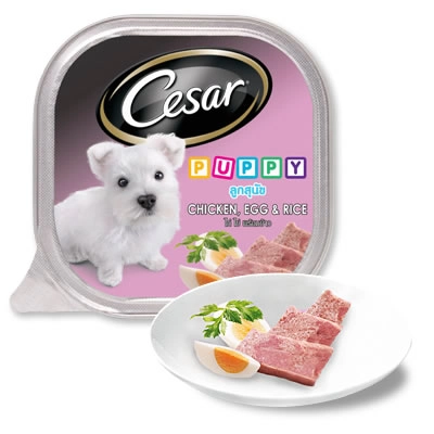 Cesar - ลูกสุนัข - ไก่ ไข่ และข้าว