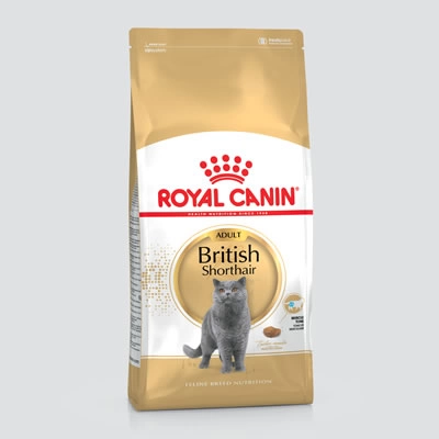 Royal Canin - British Shorthair - Adult